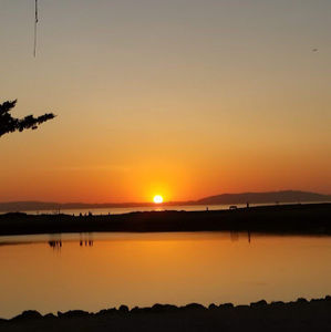 Meet your Posher, Yolanda